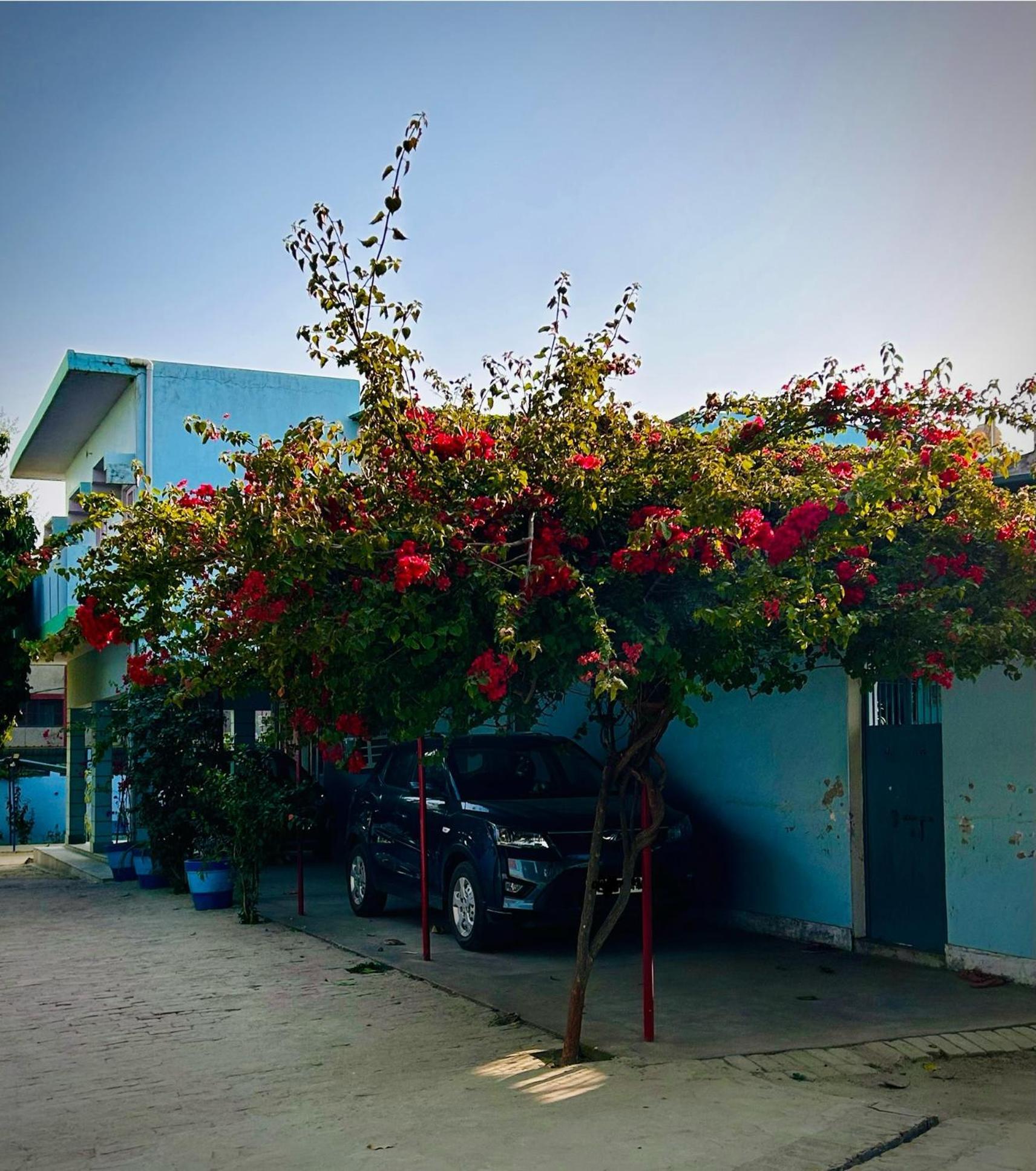 Gooseberry Garden Villa Ayodhya Luaran gambar