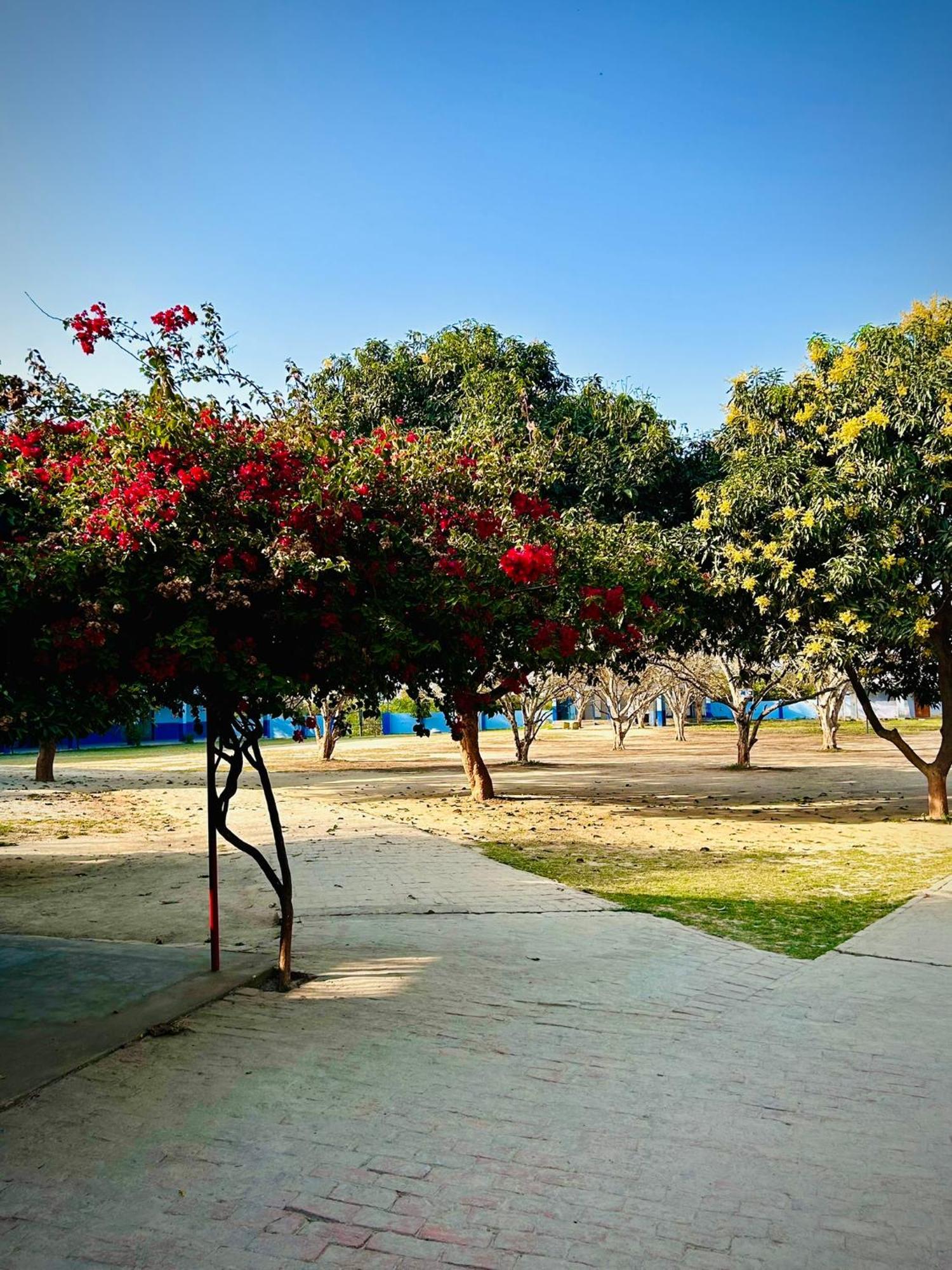 Gooseberry Garden Villa Ayodhya Luaran gambar