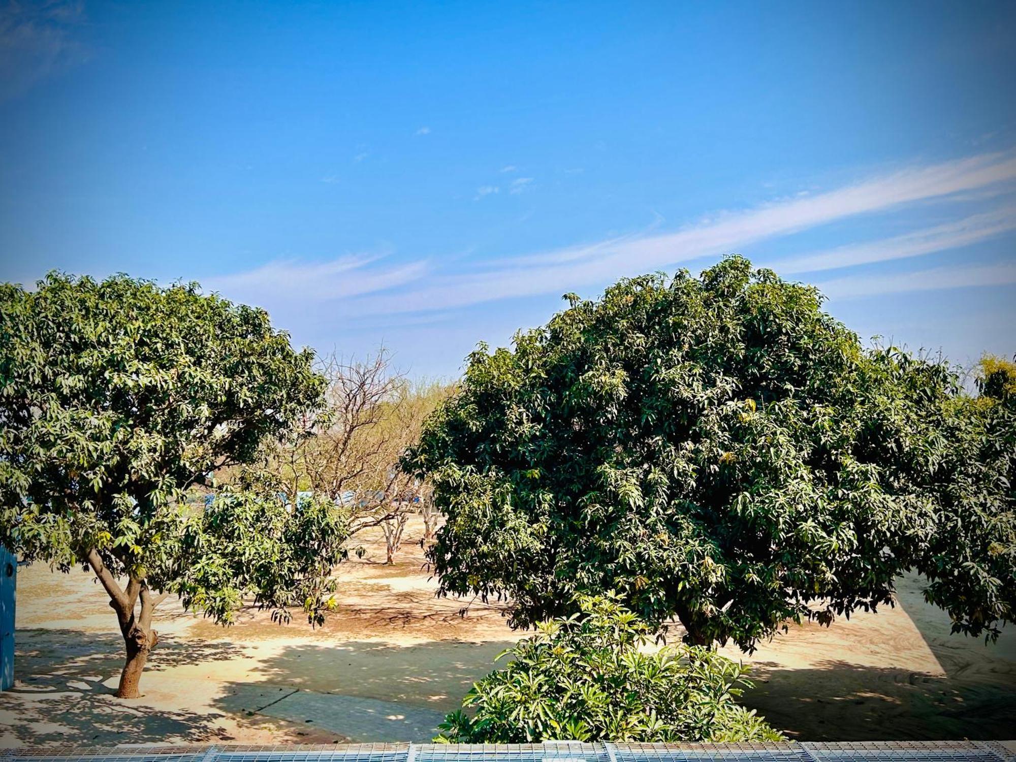 Gooseberry Garden Villa Ayodhya Luaran gambar