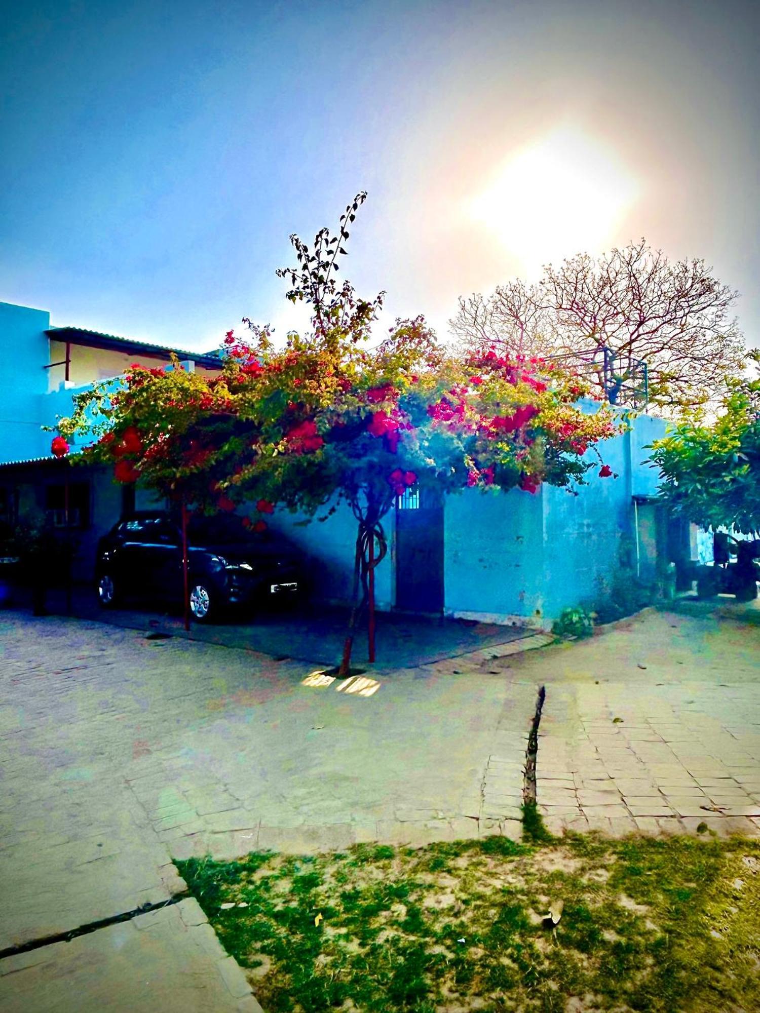 Gooseberry Garden Villa Ayodhya Luaran gambar
