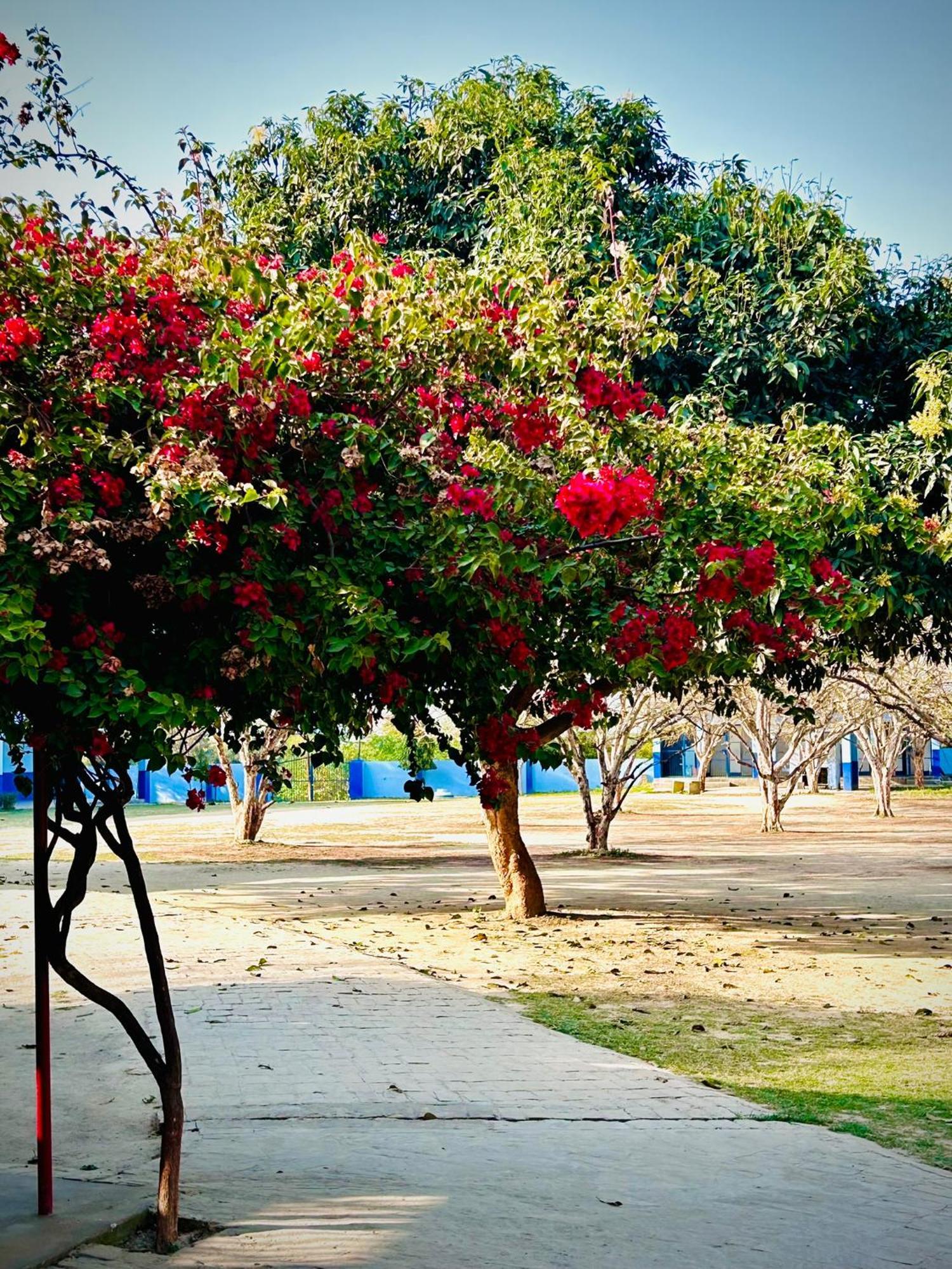 Gooseberry Garden Villa Ayodhya Luaran gambar