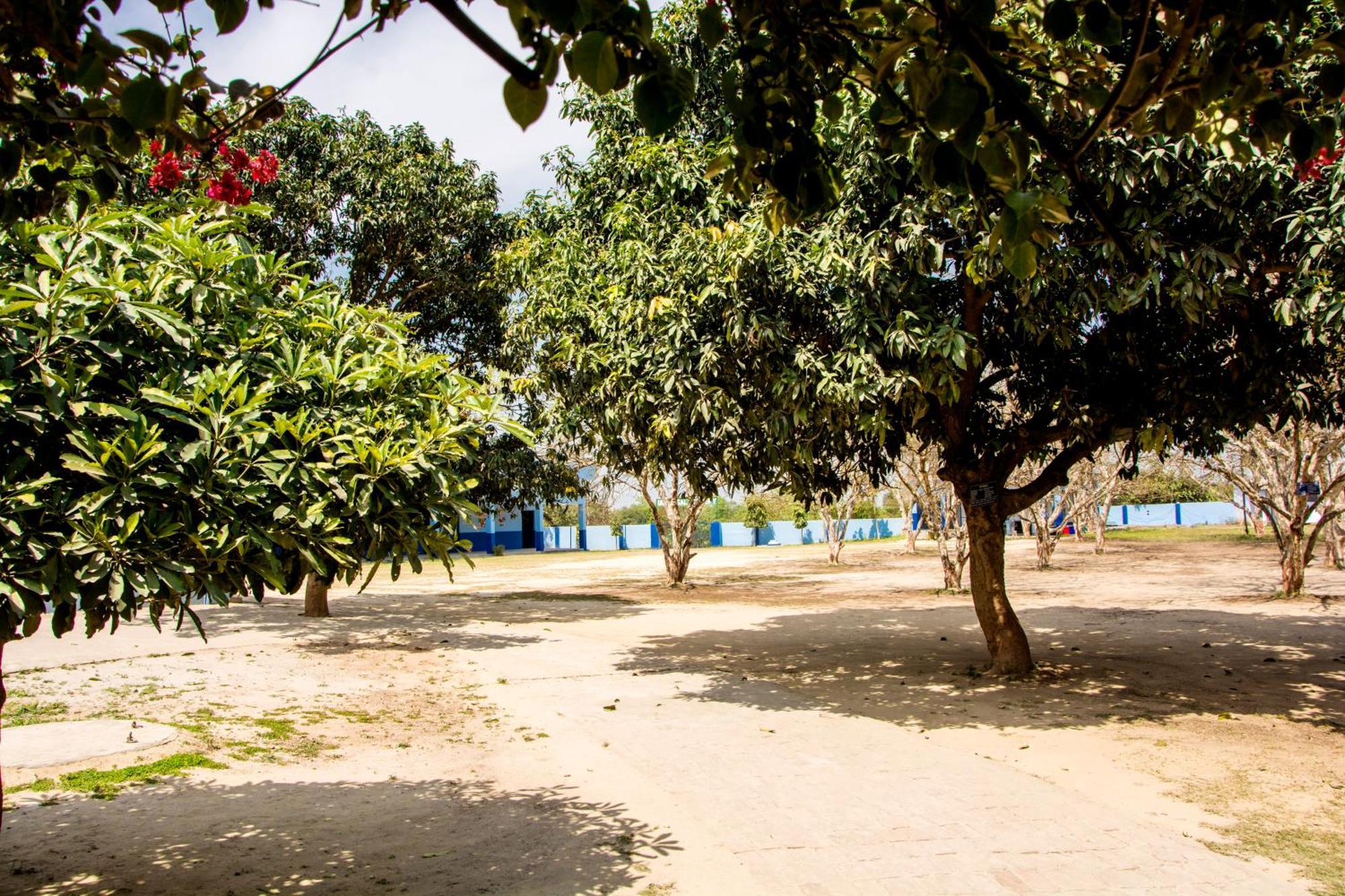 Gooseberry Garden Villa Ayodhya Luaran gambar